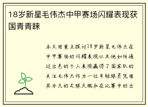 18岁新星毛伟杰中甲赛场闪耀表现获国青青睐